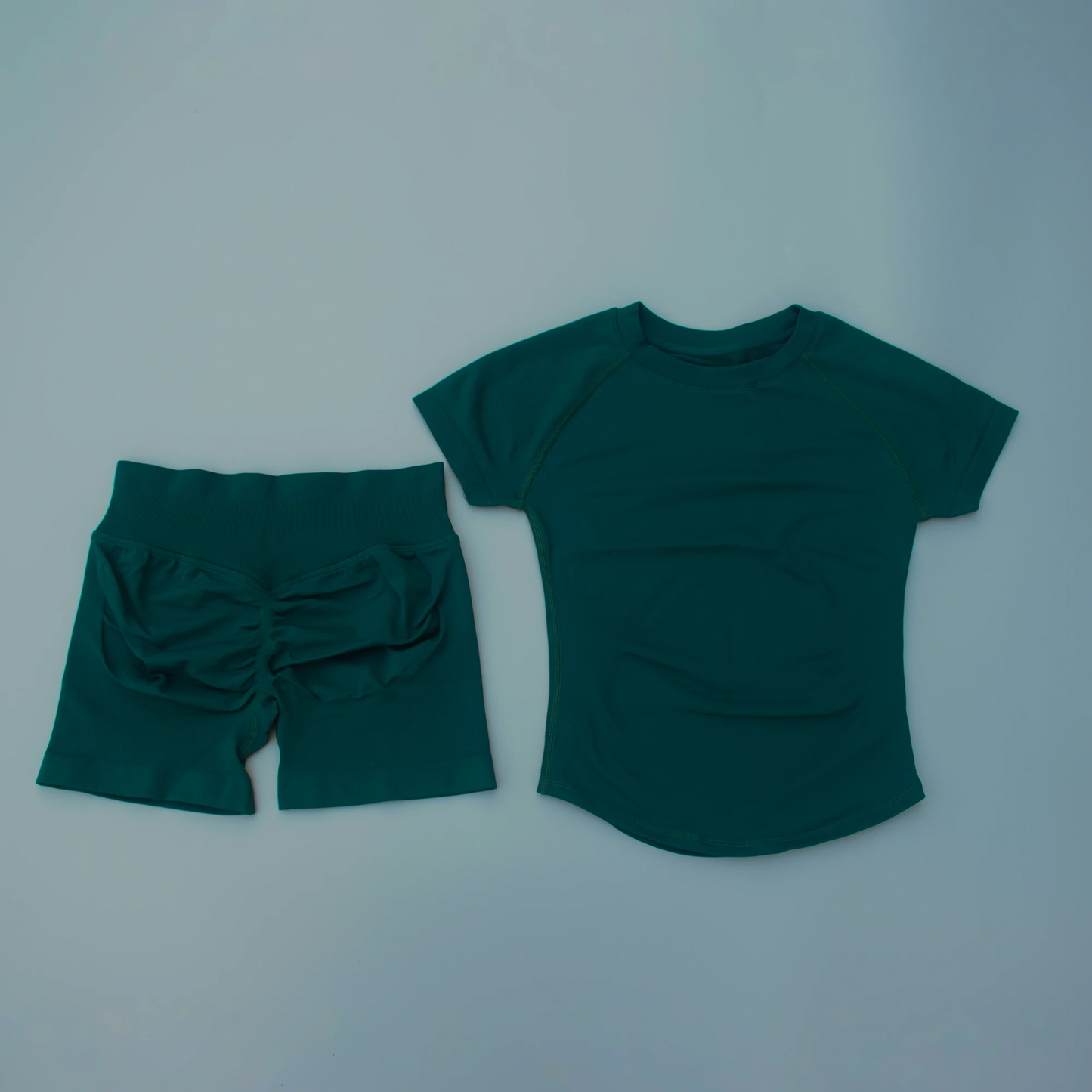 Seamless 2-Piece Women's Sports Gym Set - Short Sleeve Yoga & Running Leggings Suit